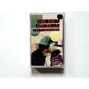 The Flaming Lips She Don't Use Jelly Cassette 1993 Warner Bros CASE CRACKED